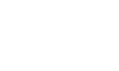Duel